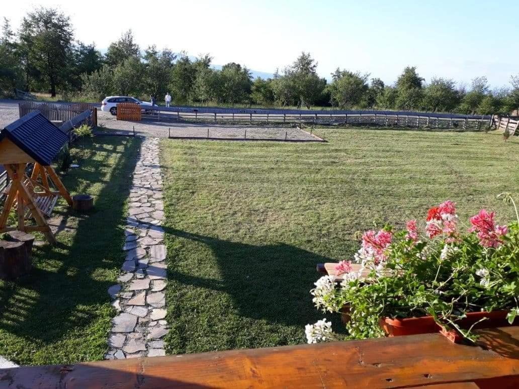 Вілла Casa Cupcea Budesti  Екстер'єр фото