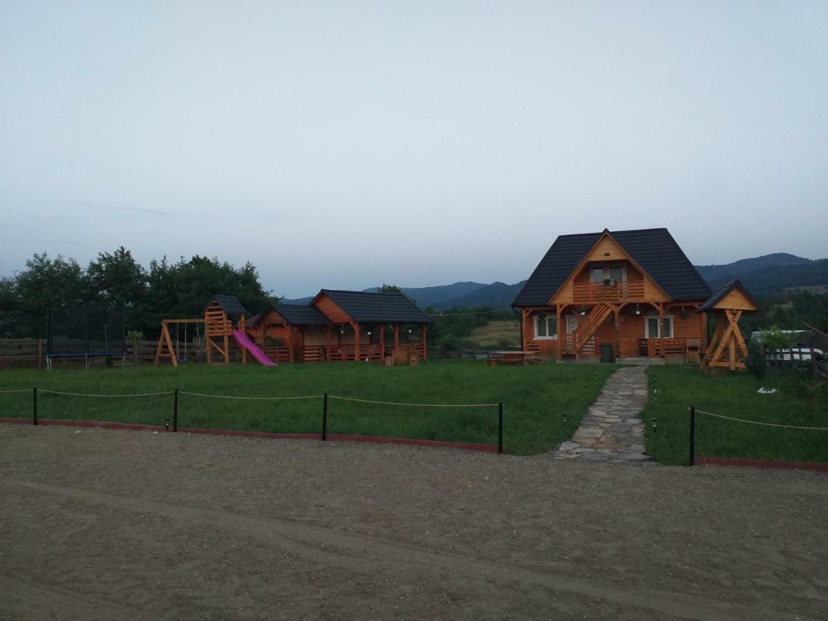 Вілла Casa Cupcea Budesti  Екстер'єр фото